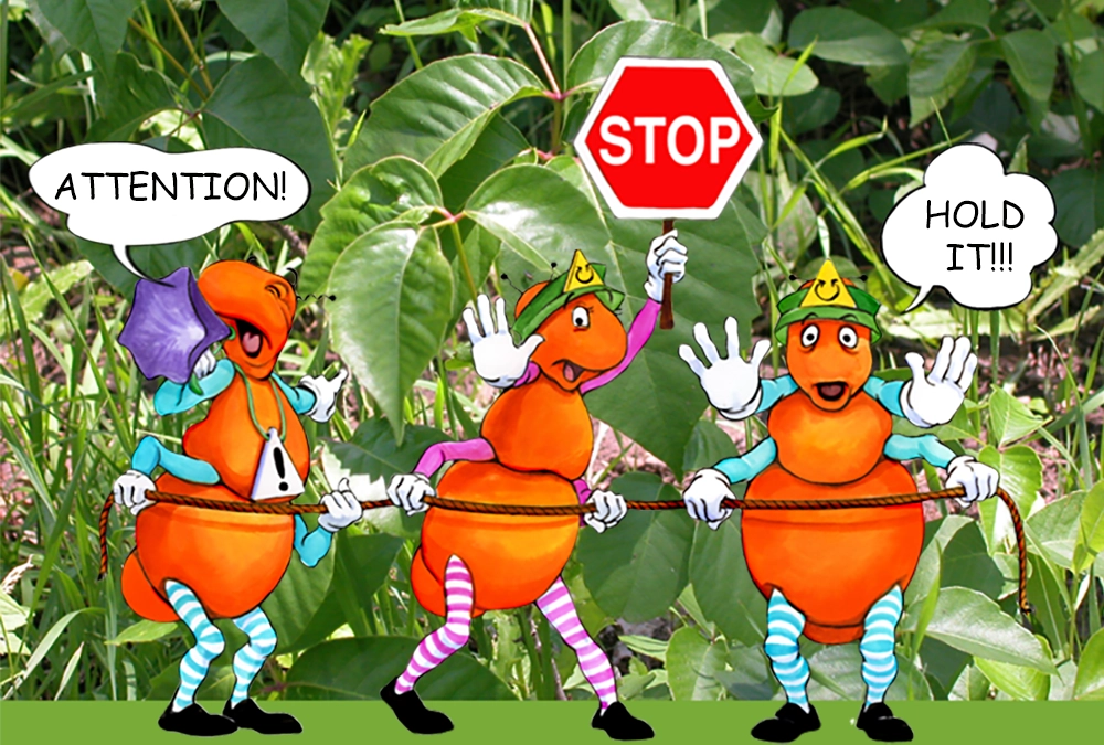 The Gallavants are here to teach you about poison ivy
