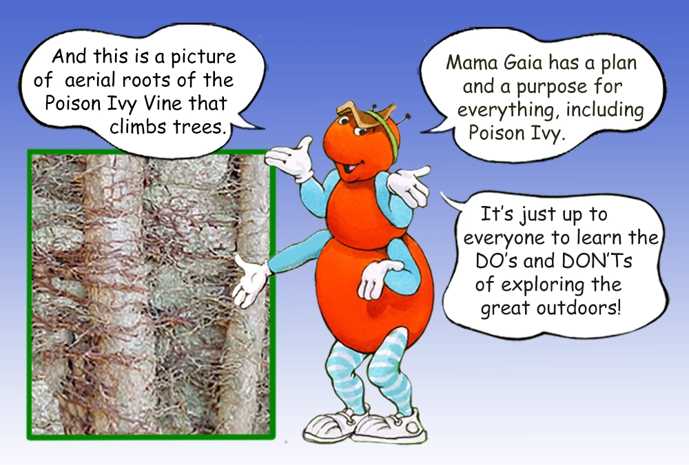 The Gallavants are here to teach you about poison ivy
