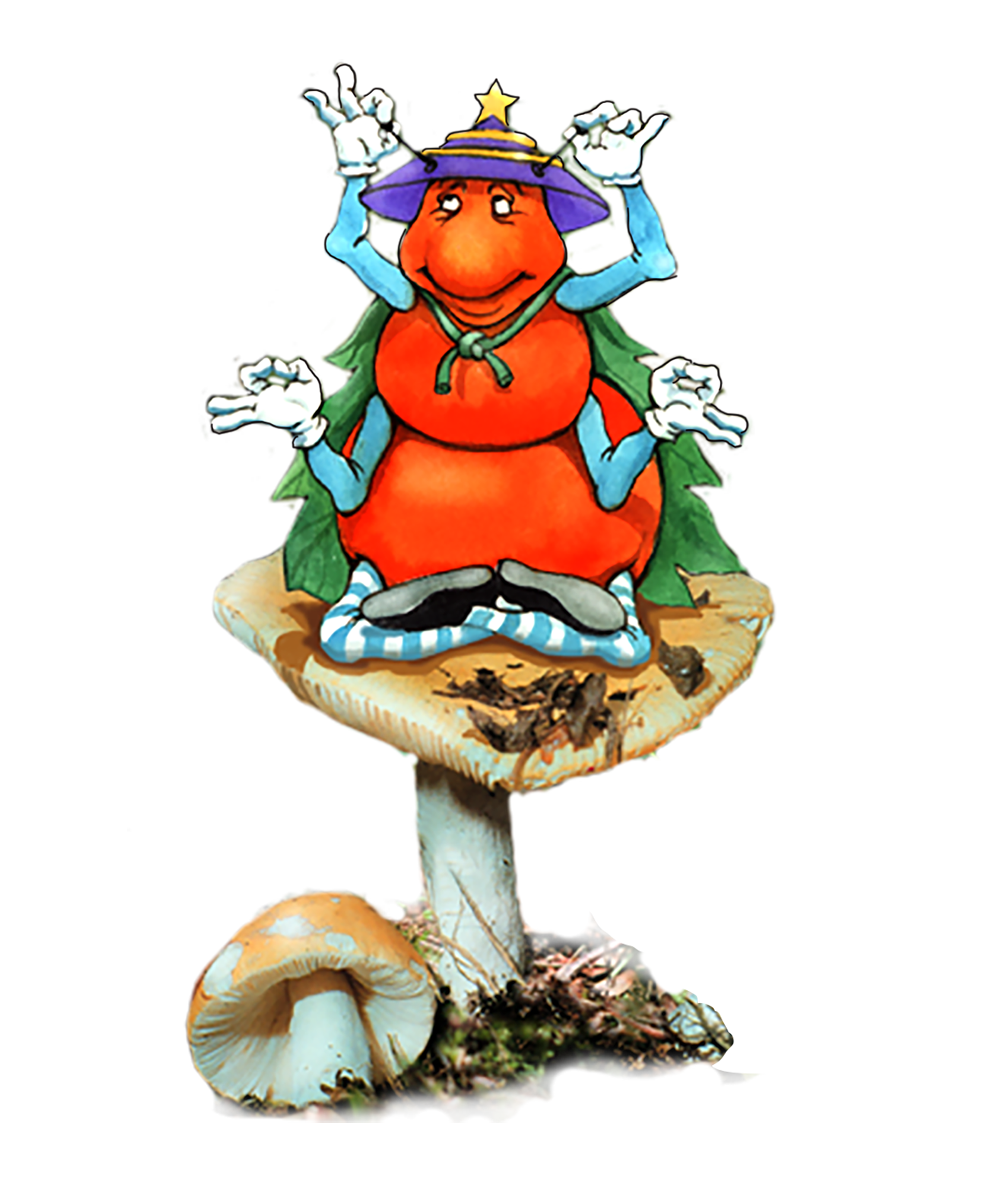 Learn about nature's elements with the Gallavants
