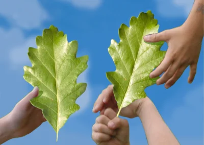 Leaf Matching