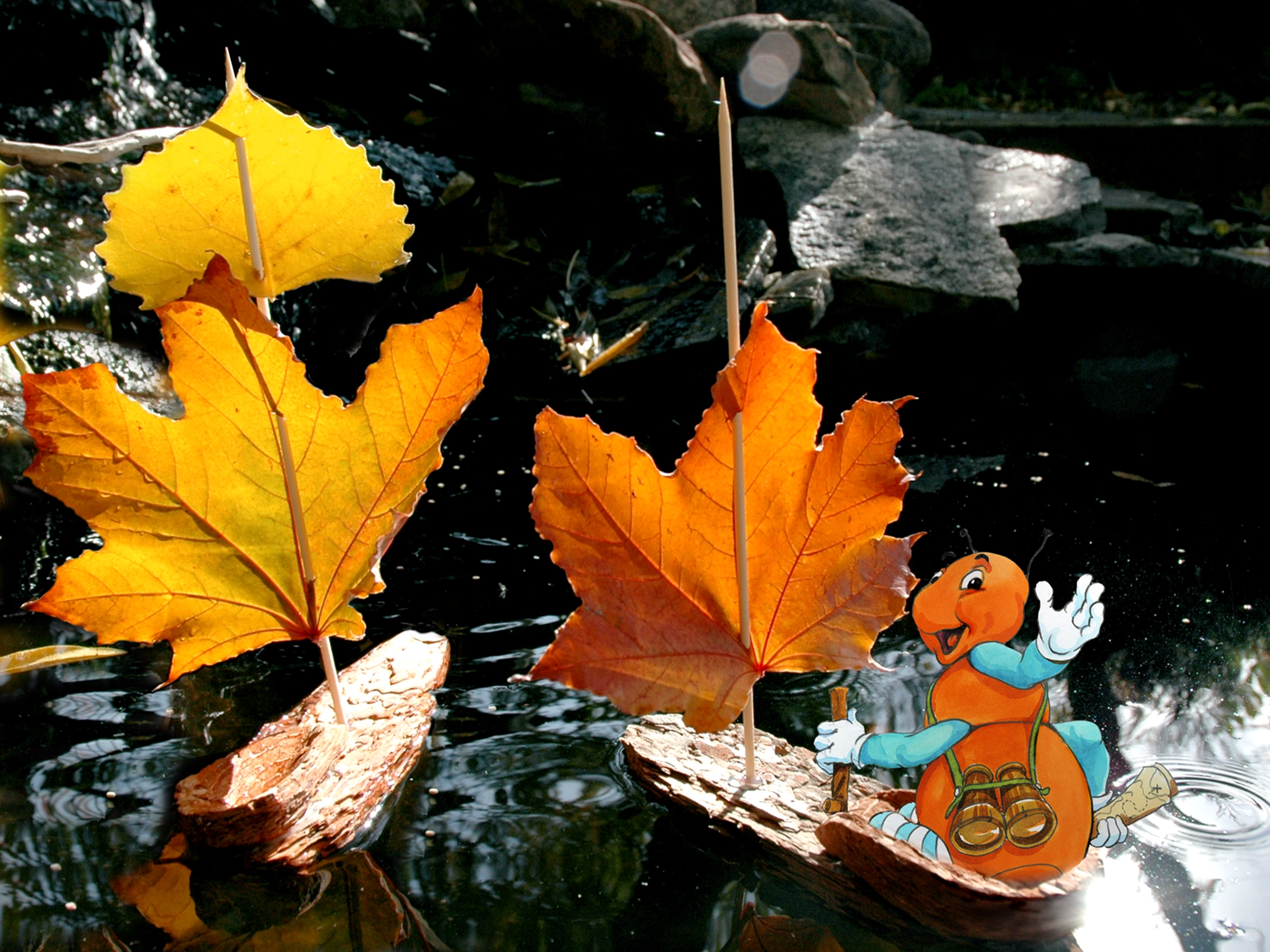 Bug Watch: A Fun Outdoor Exploration for Kids! from the Gallavants