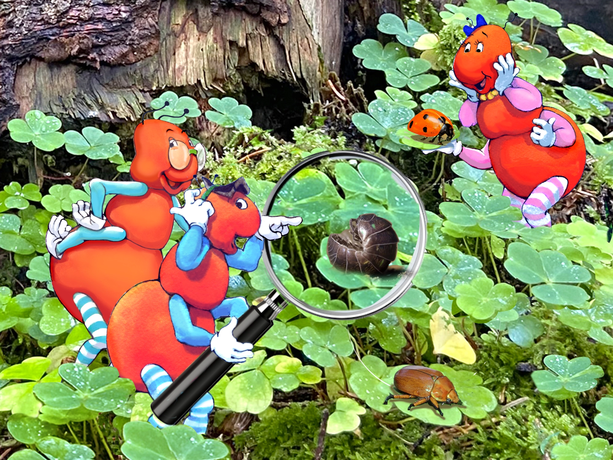 Bug Watch: A Fun Outdoor Exploration for Kids! from the Gallavants