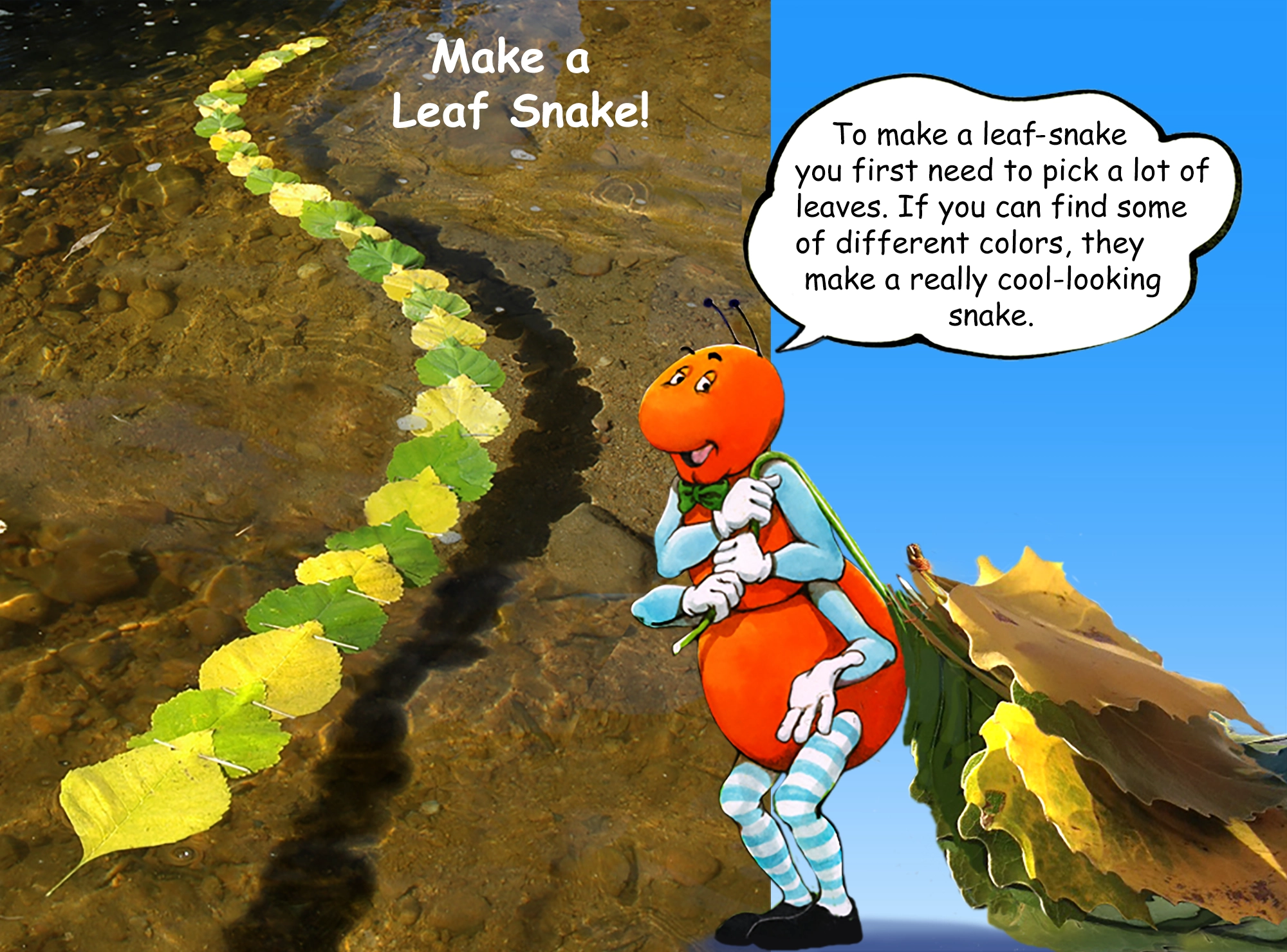 Bug Watch: A Fun Outdoor Exploration for Kids! from the Gallavants