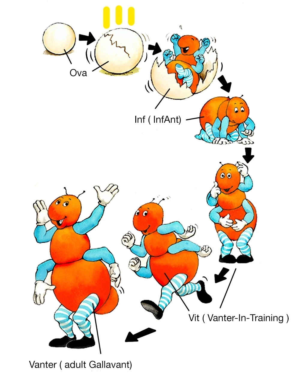 The Gallavant Life Cycle.