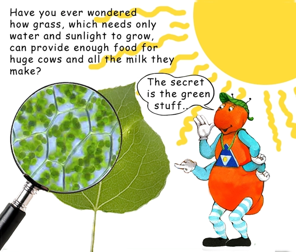 What is a plant? Learn from the Gallavants