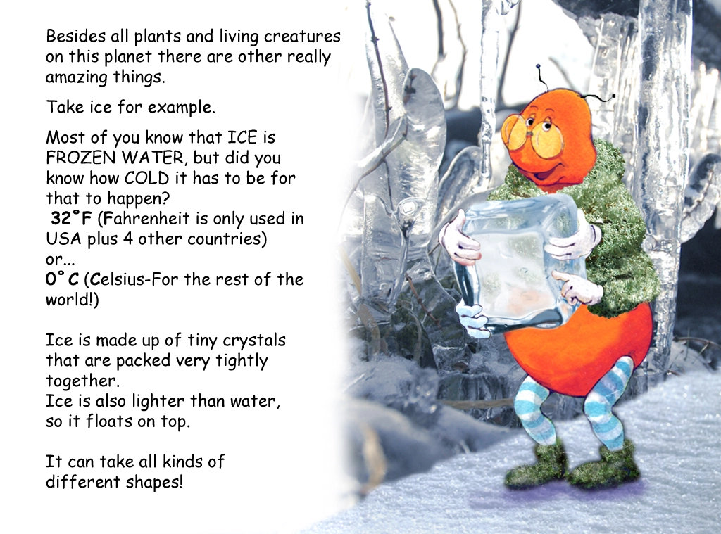 Learn about Water turning to Ice with the Gallavants