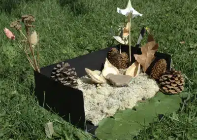 Make a Gallavant Habitat