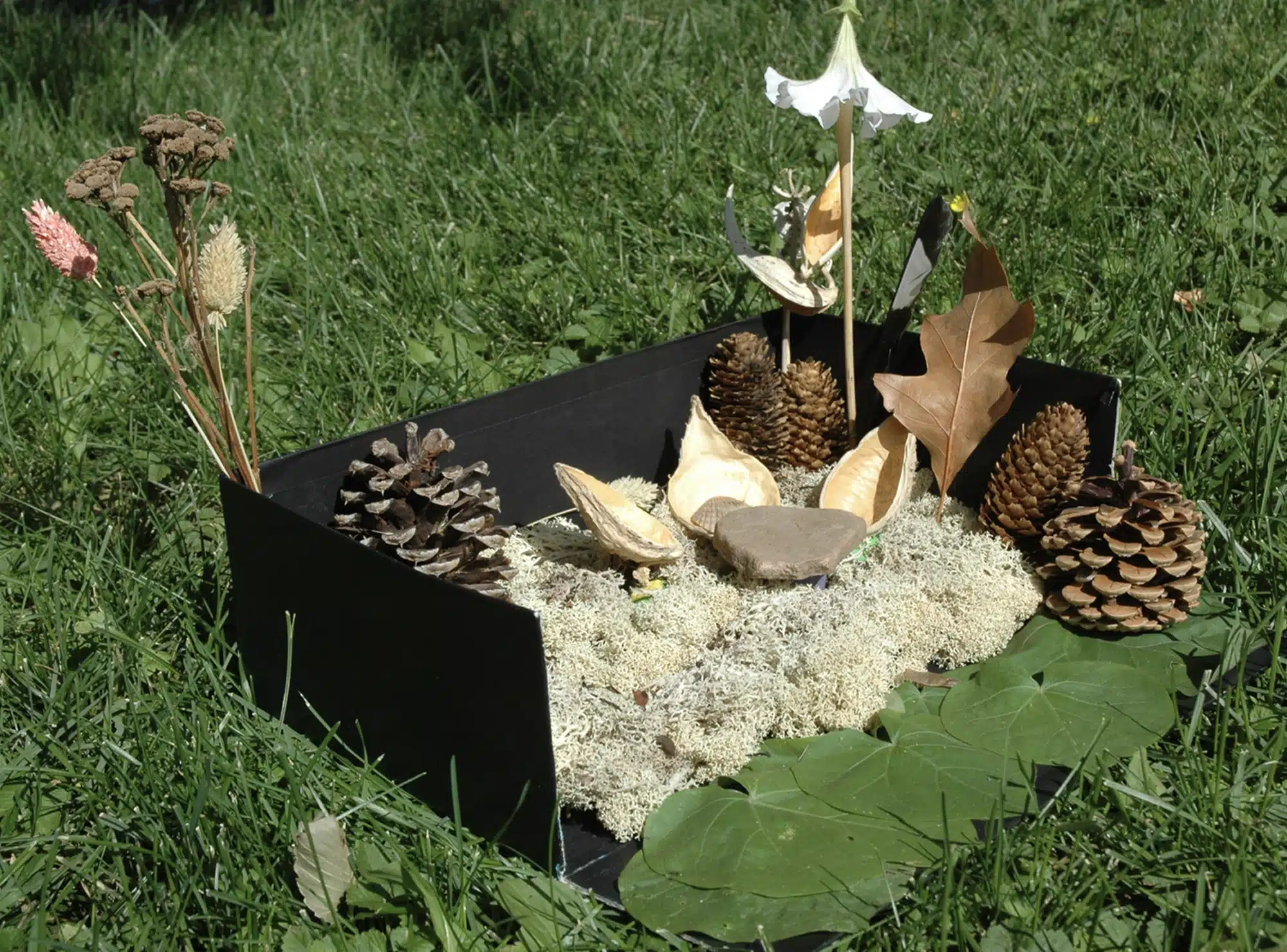 Make a Gallavant Habitat – Craft a Magical Mini World from Nature