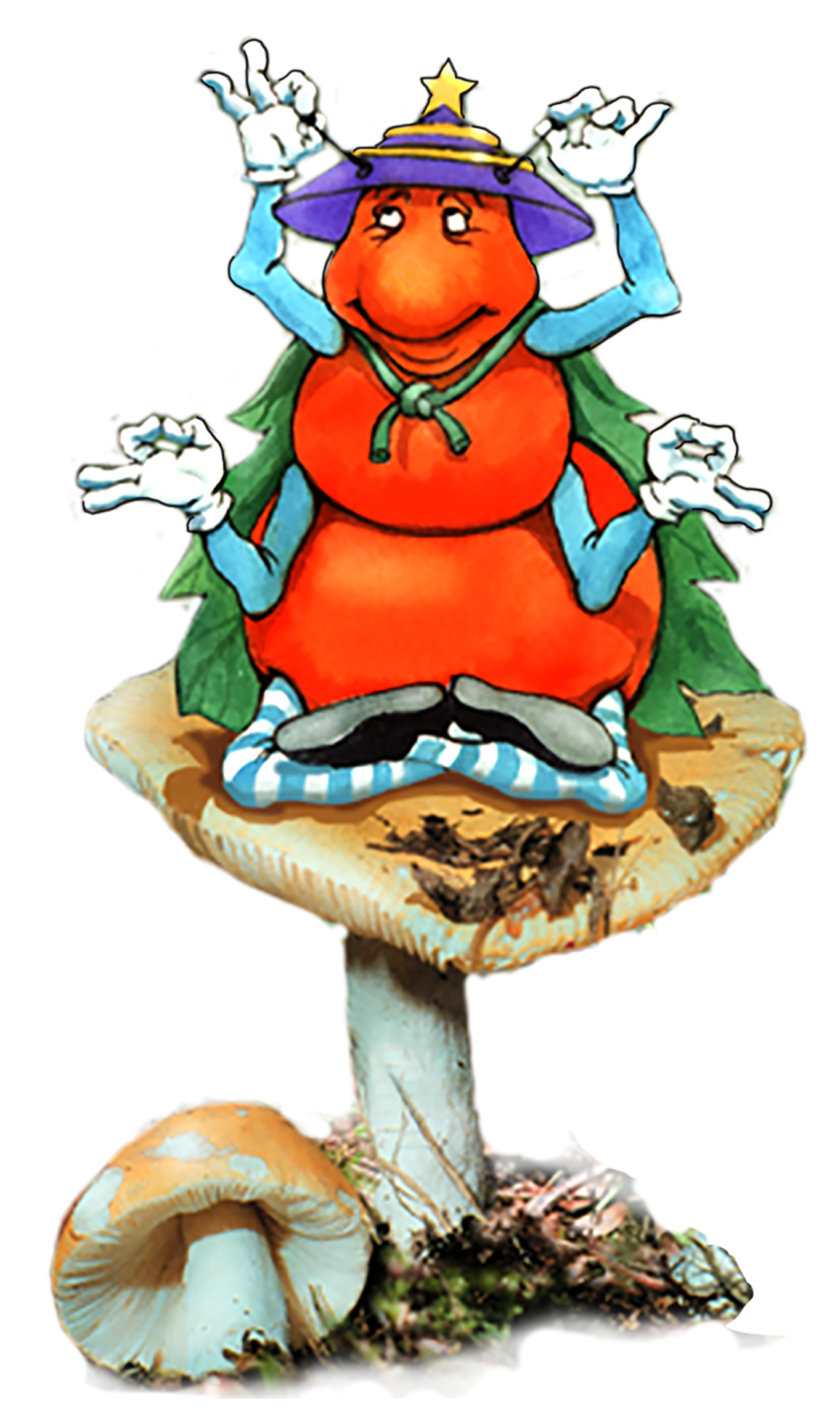 Learn about Nature's Elements with the Gallavants